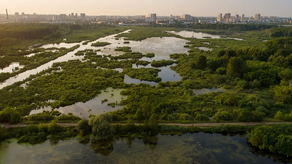 Фото: ТАСС/Сергей Бобылев