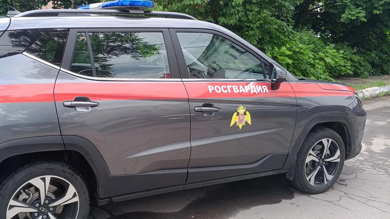 Картинка