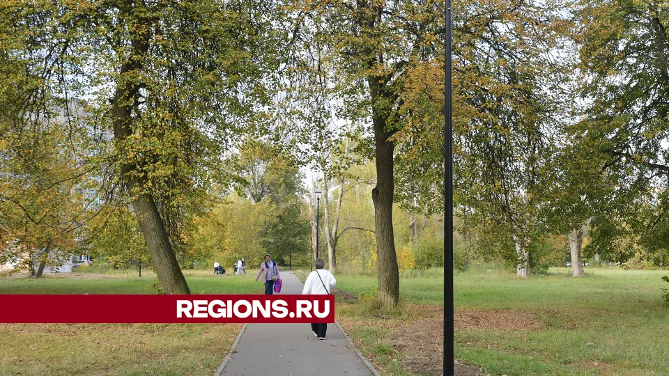 Фото: REGIONS/Наталья Бычкова