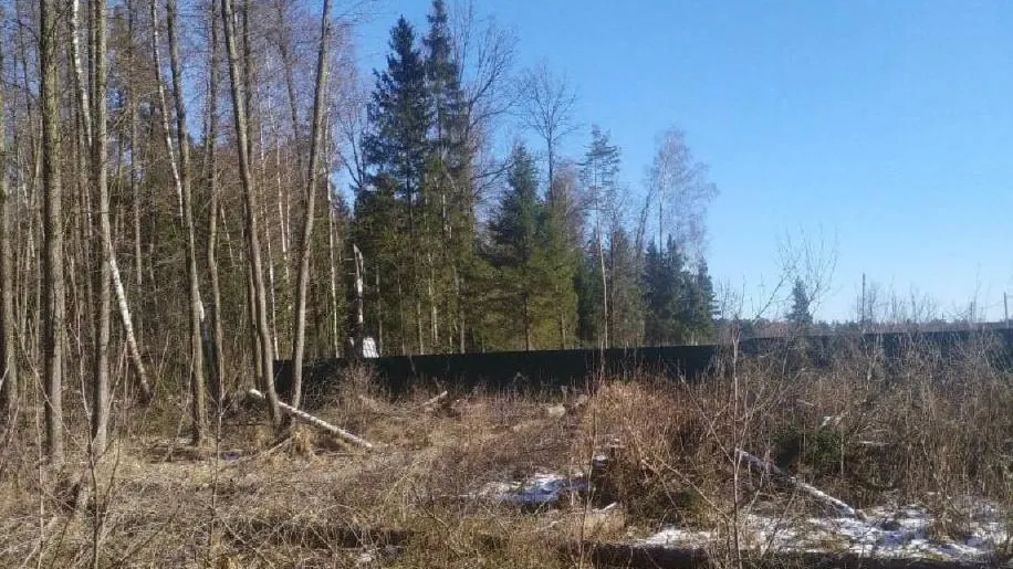 Фото: администрация городского округа Лосино-Петровский