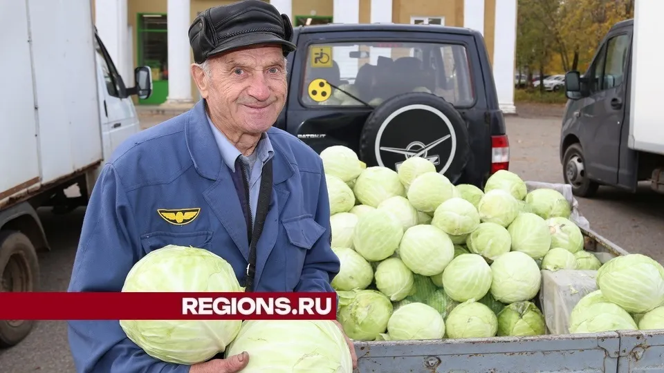 Фото: REGIONS/Александр Дрожжин