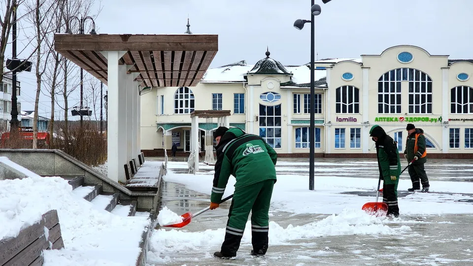 Фото: МедиаБанк Подмсоковья/Ольга Аввакумова