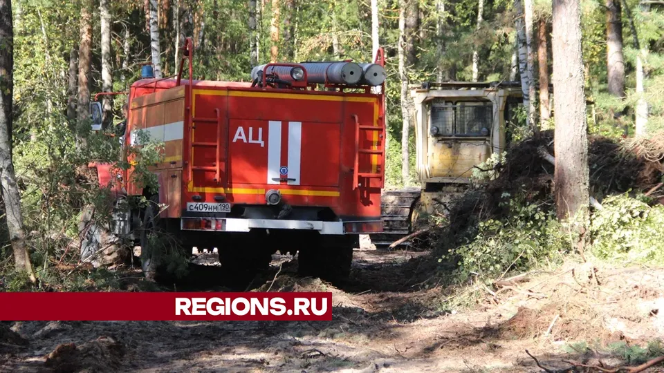 Фото: REGIONS/Василий Тремасов