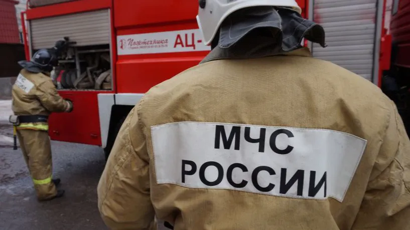 Фото: Фотобанк Московской области