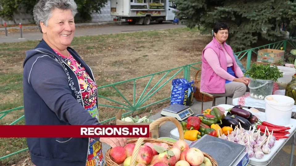 Фото: REGIONS/Александр Дрожжин