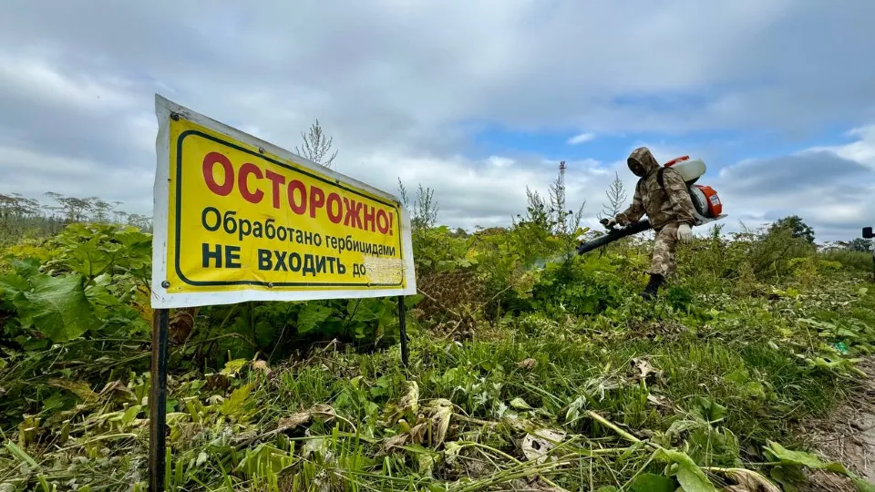 Фото: Медиабанк Подмосковья/Яна Шаливская