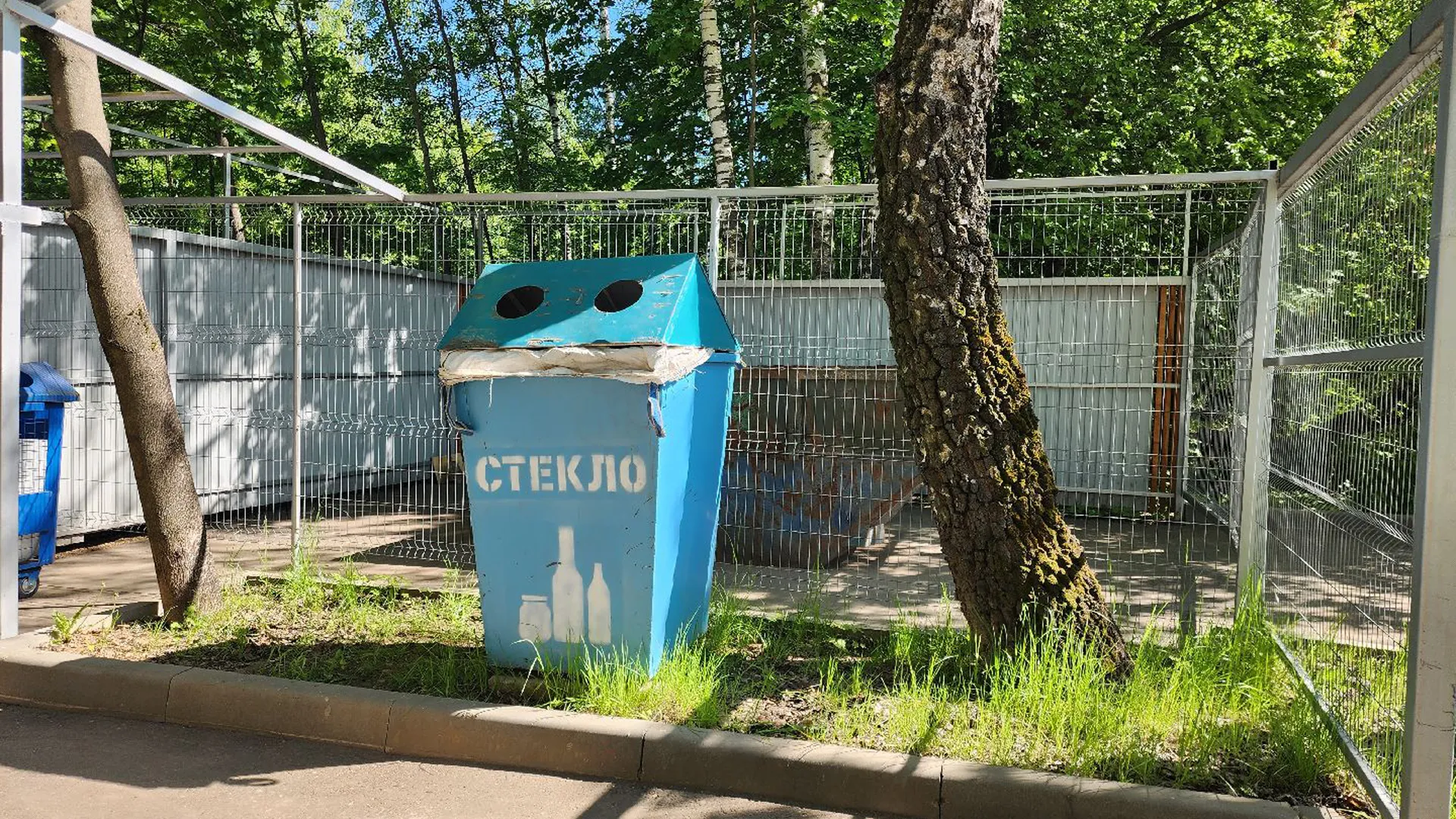 Фото: Фонина Хавива