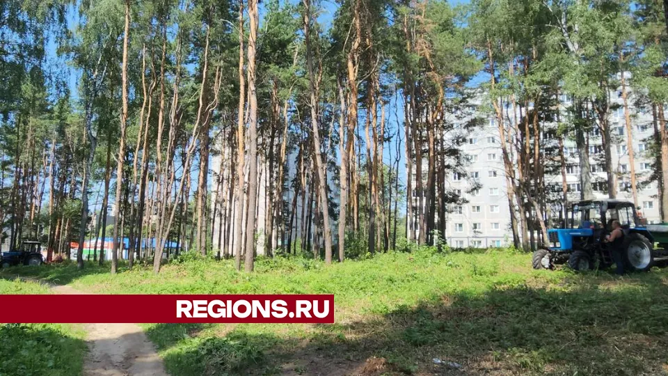 Фото: Виталий Сид