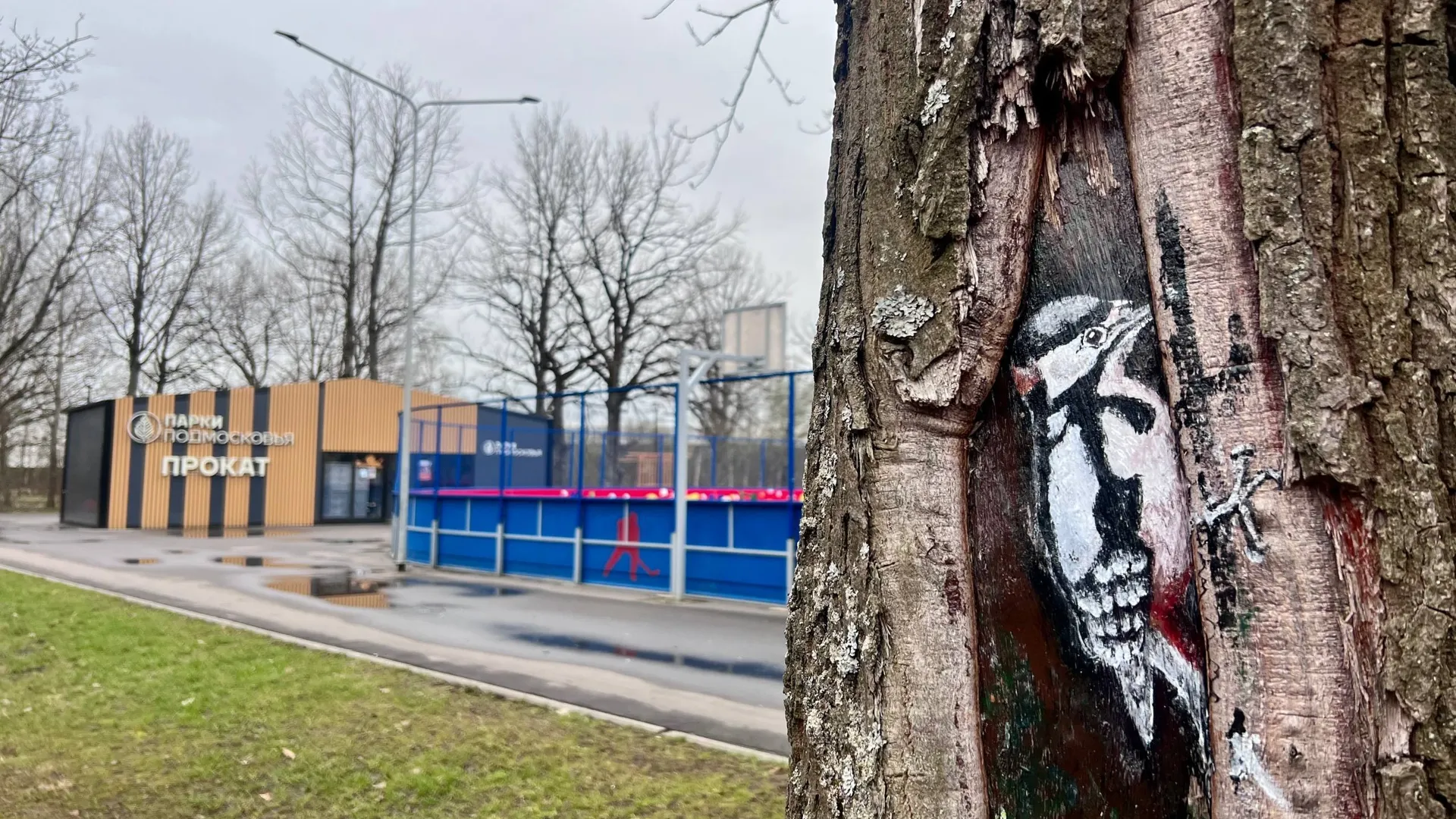Картинка