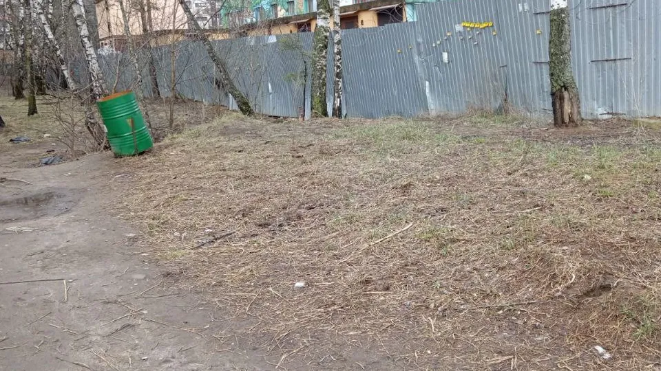 Фото: Кузьминский лесопарк&nbsp;