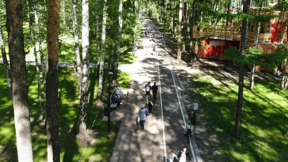 Фото: Министерство благоустройства Московской области