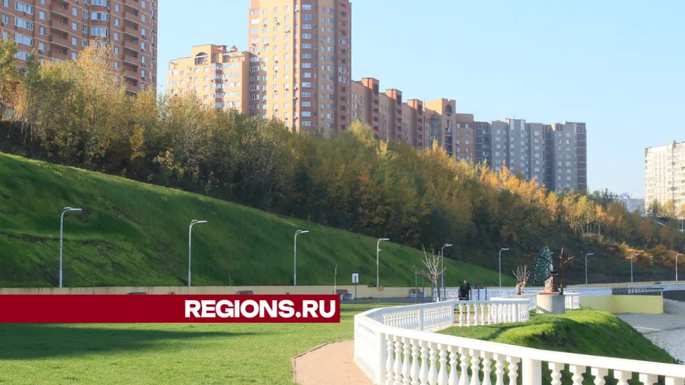 Фото: Алексей Грызлов