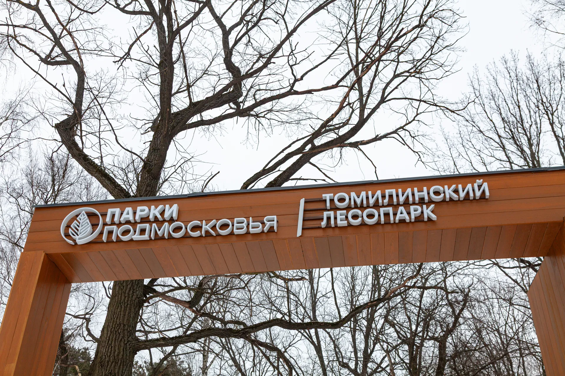 Томилинский лесопарк зимой в городе Дзержинский округа Люберцы