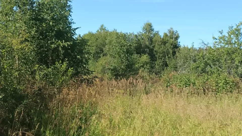 Фото: Комитет по конкурентной политике МО