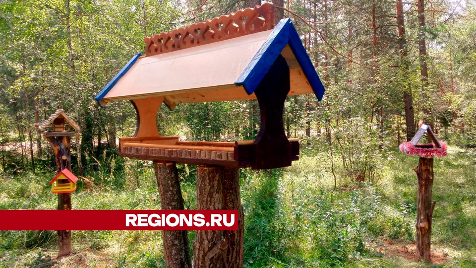 Фото: REGIONS/Василий Тремасов