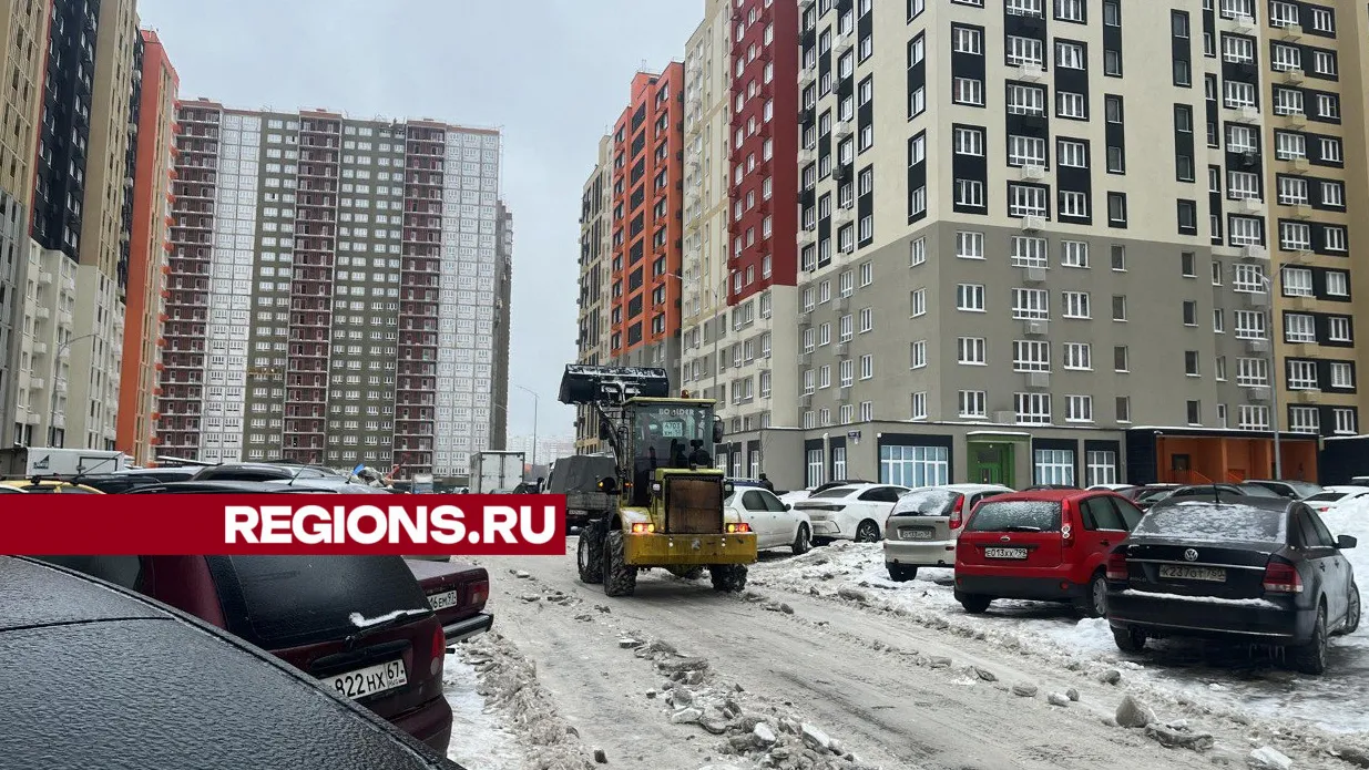 Фото: Елизавета Приймак