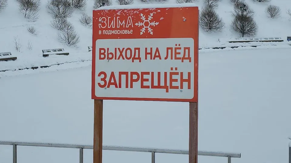 Фото: МедиаБанк Подмосковья/Мария Амелина