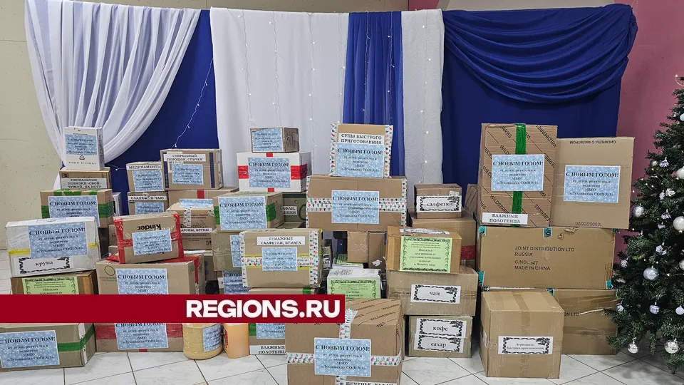 Фото: REGIONS/Александр Дрожжин