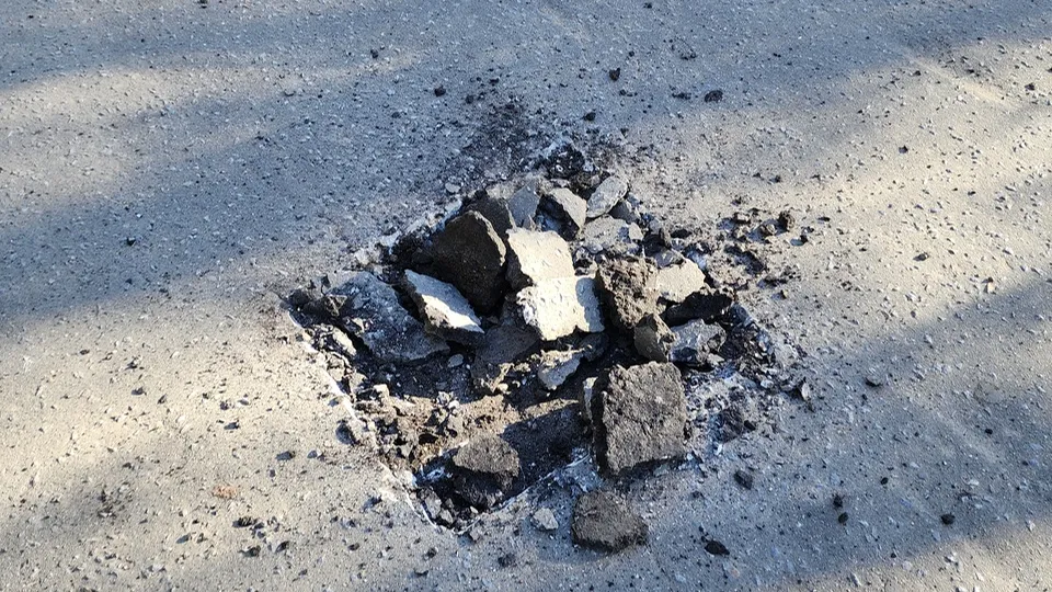 Фото: МедиаБанк Подмосковья/ Ольга Шеметова