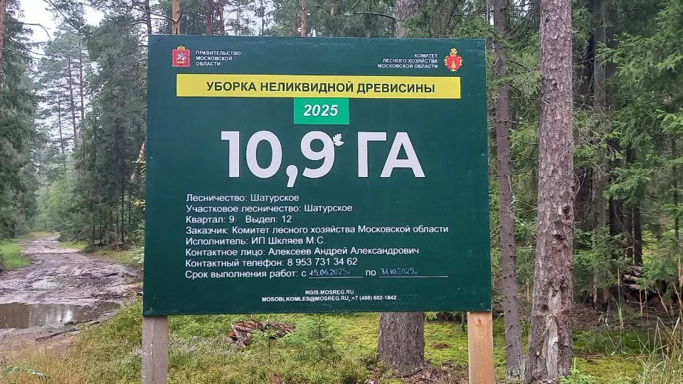 Фото: Комитет лесного хозяйства Московской области