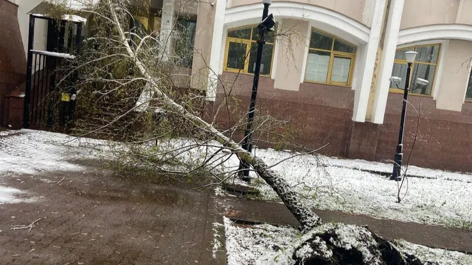 Фото: администрация г.о. Краснознаменск