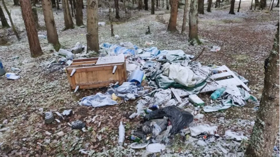 Фото: Комитет лесного хозяйства  Московской области