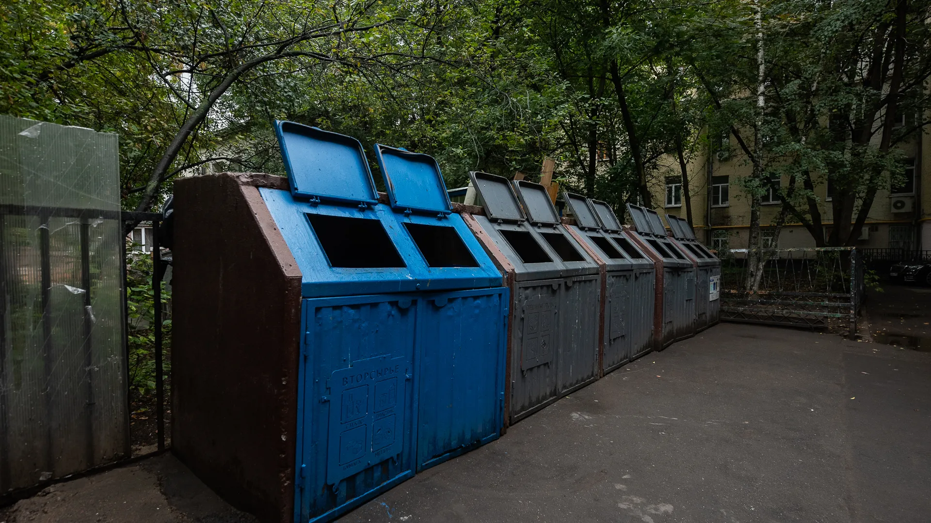 Мусорный скандал в центре города: россиянка превратила участок в свалку — и заплатит за это 268 тыс. руб.