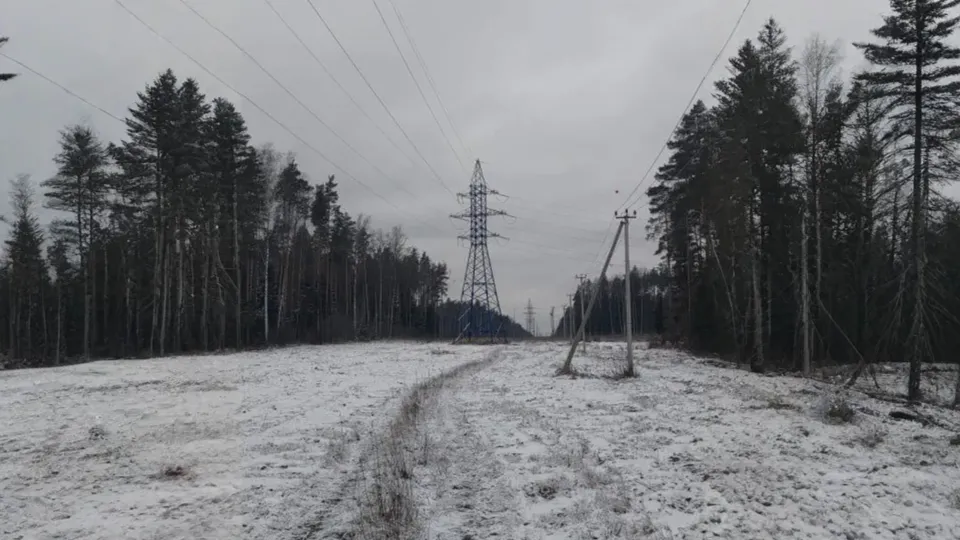 Фото: Главгосстройнадзор МО