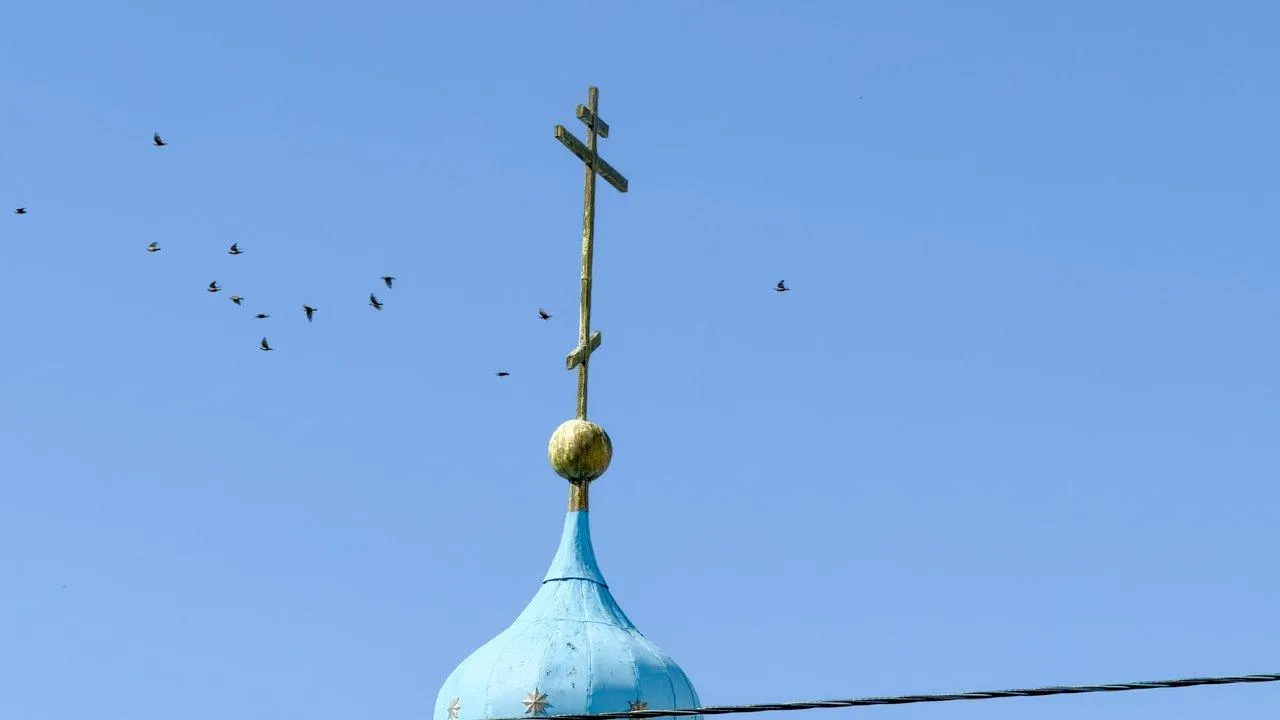 Картинка