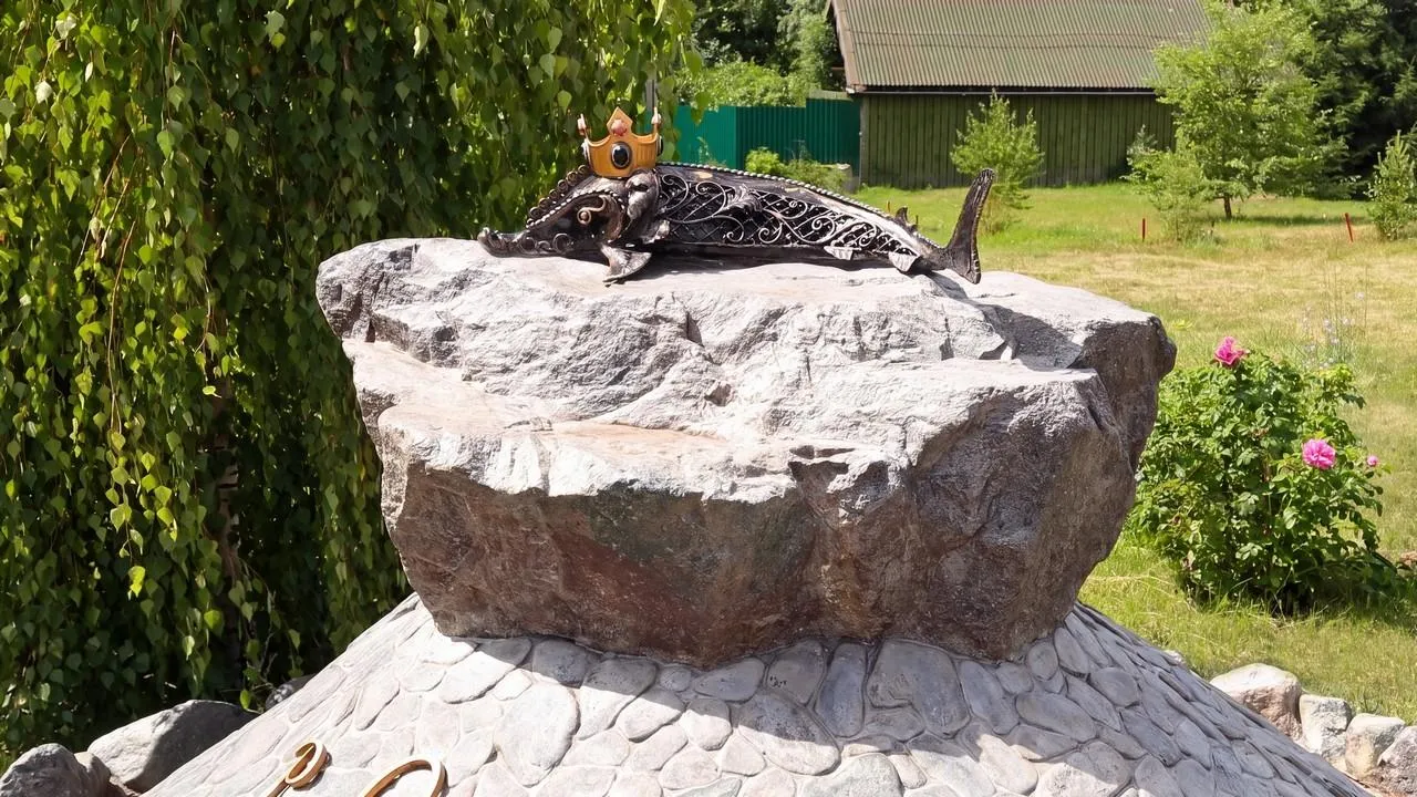 Картинка