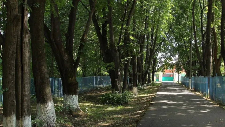 Фото: пресс-служба Главного управления культурного наследия Московской области