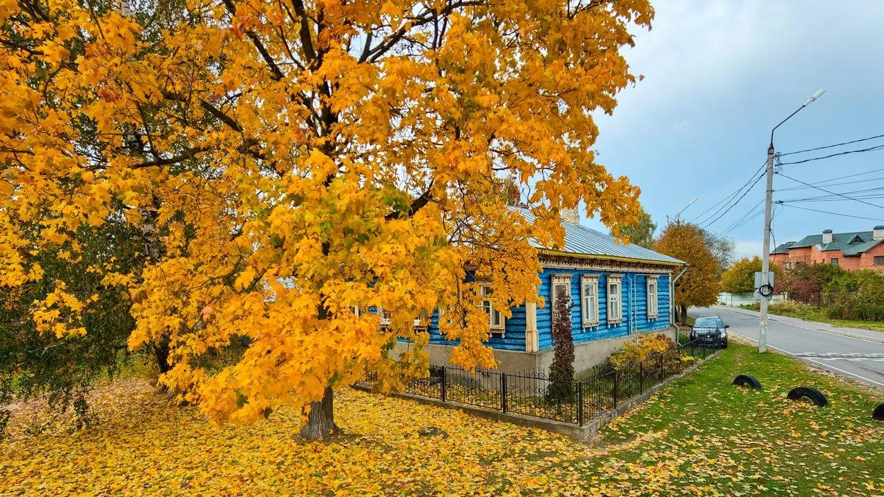 Картинка