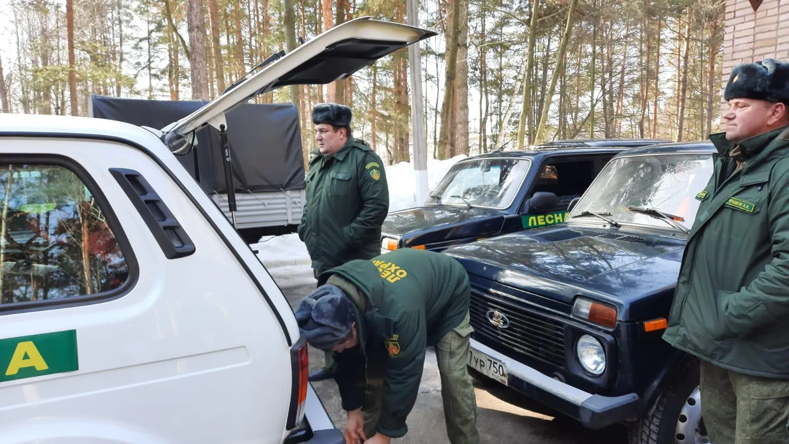 Фото: Комитет лесного хозяйства Московской области