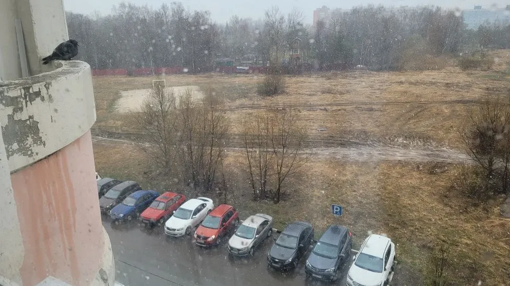 Картинка