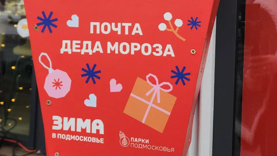 Фото: администрация г. о. Электросталь