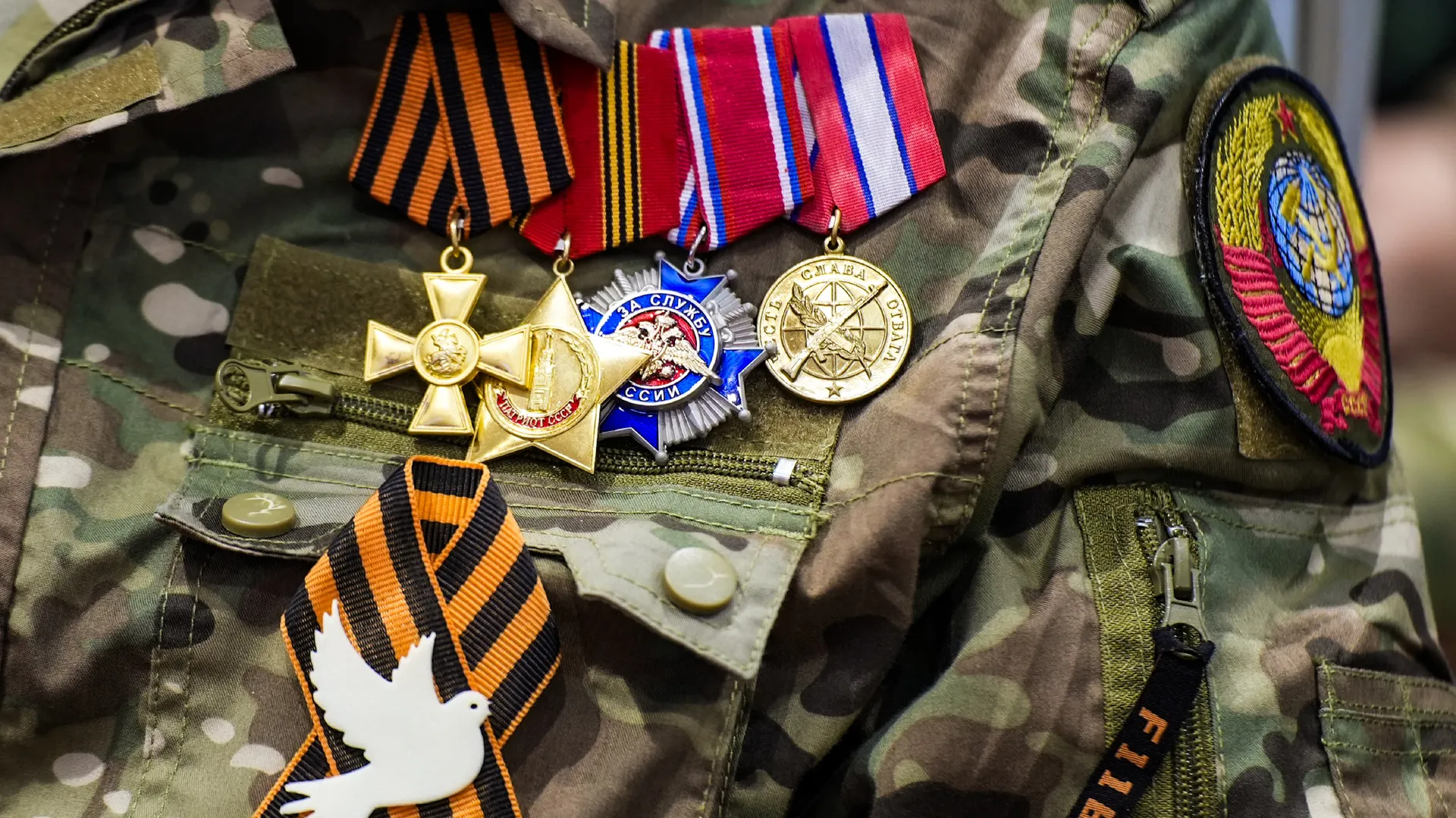 Вручение госнаград подмосковным добровольцам из отряда БАРС