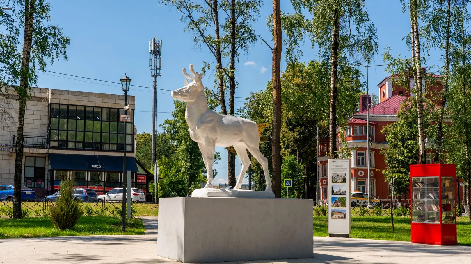 Картинка