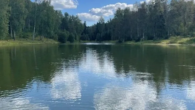 Фото: Минэкологии МО