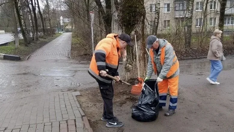 Картинка