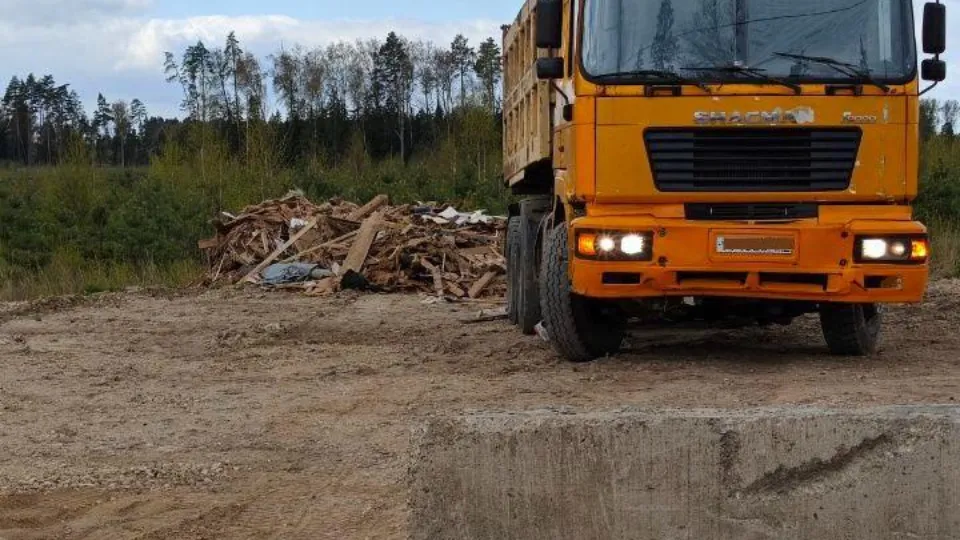 Фото: Комитет лесного хозяйства Московской области