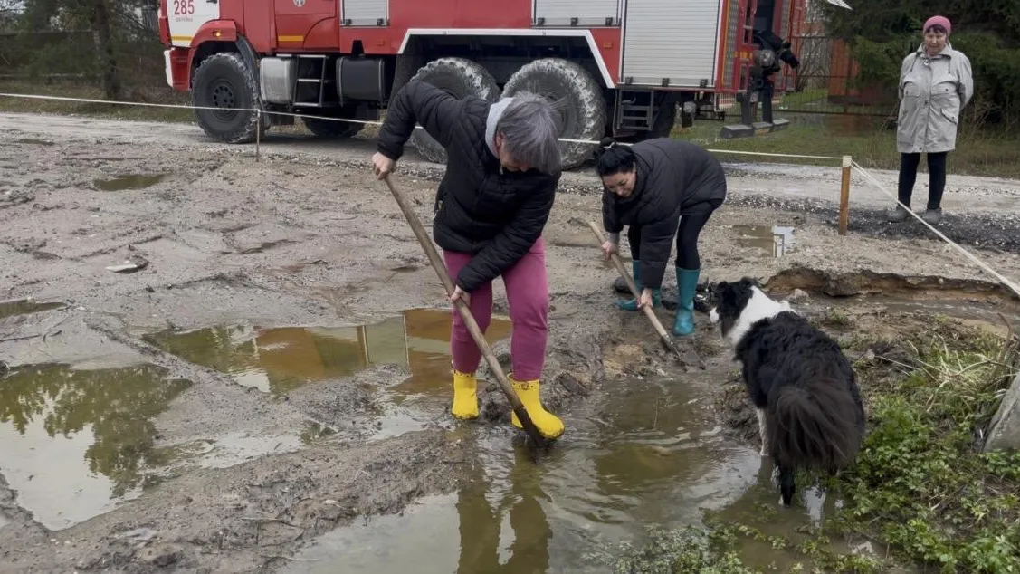 Картинка