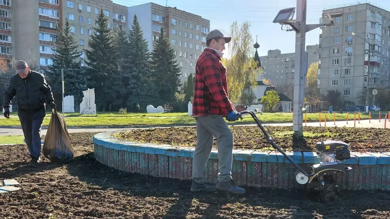 Картинка