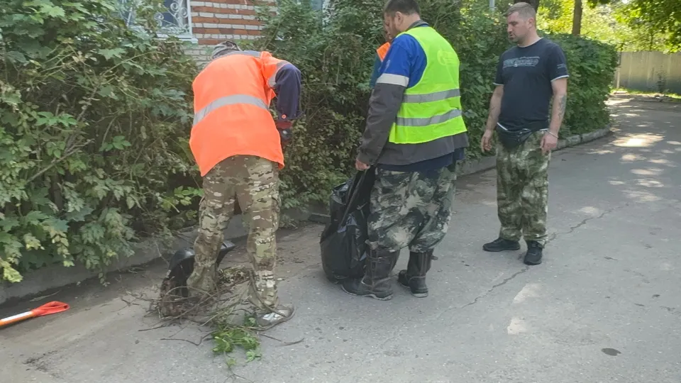 Фото: МедиаБанк Подмосковья/Евгения Герасимова