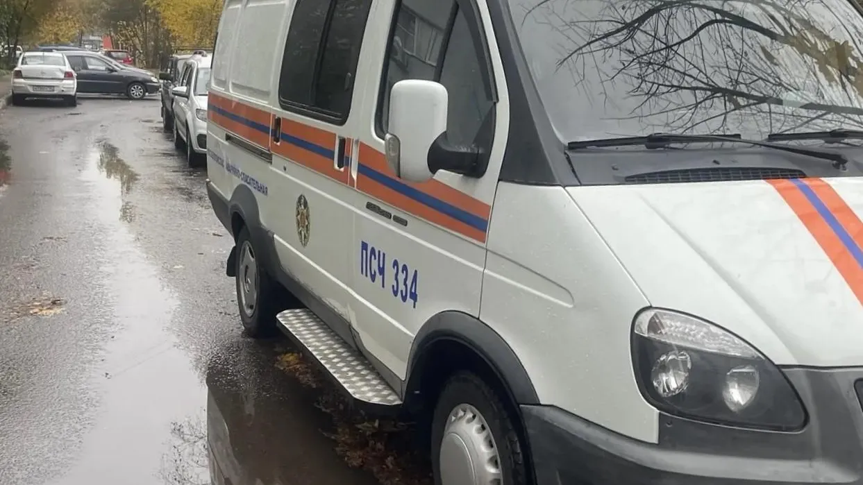 Картинка