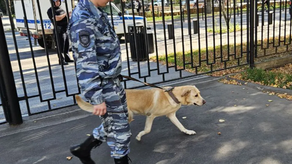 Фото: МедиаБанк Подмосковья/ Ольга Вельшикаева