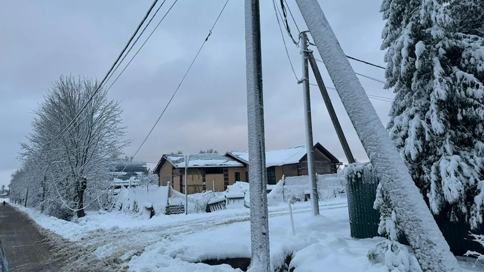 Фото: Администрация городского округа Шаховская