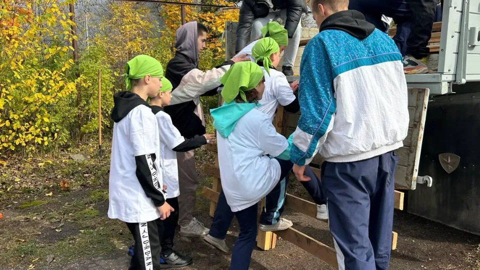 Картинка