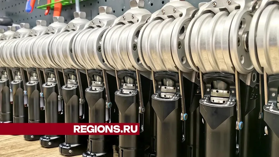 Фото: REGIONS/Елена Катасонова