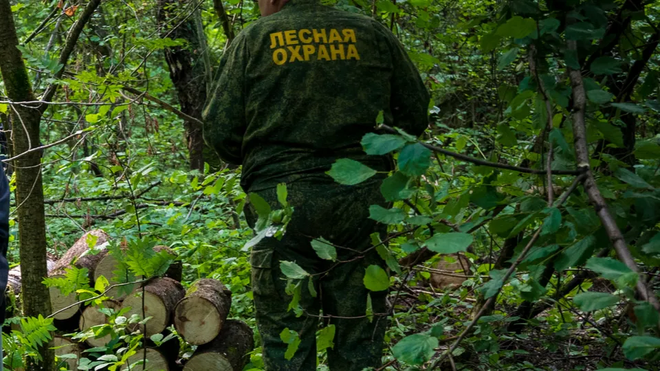 Фото: REGIONS/Наталия Надточая