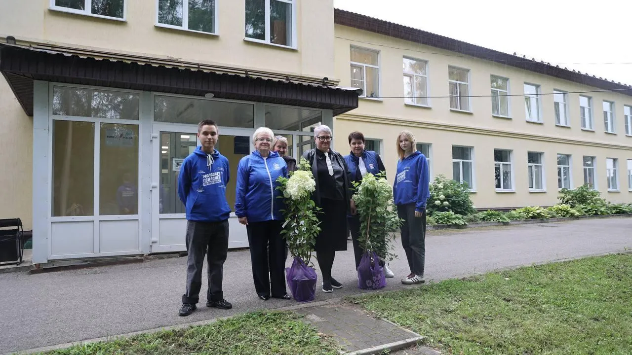 Картинка